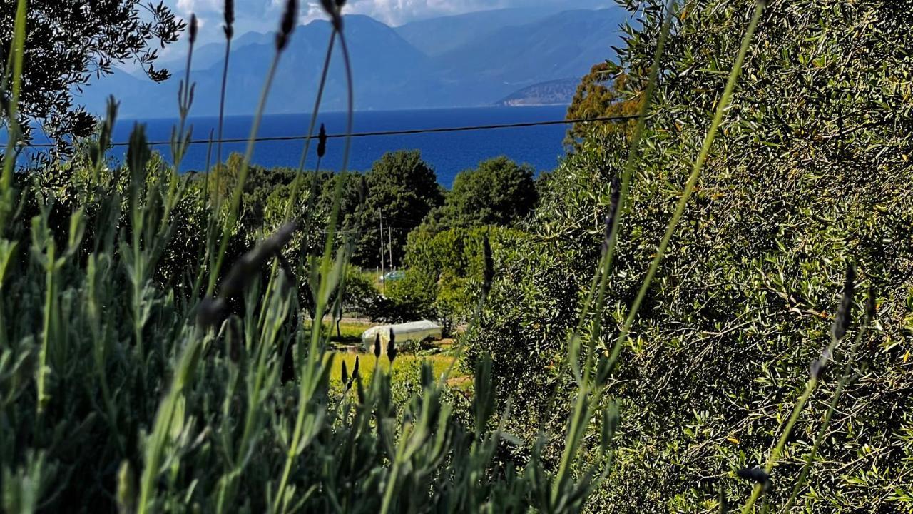 Villa Sania Kassiopi Exterior foto